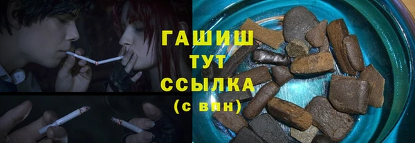 дживик Бородино