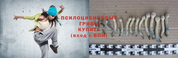 ешки Бронницы