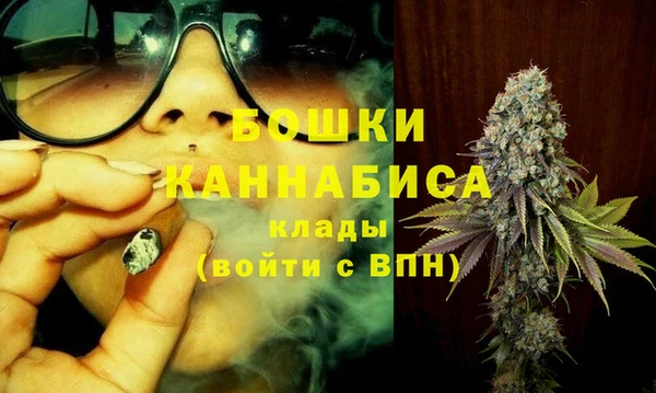 ешки Бронницы