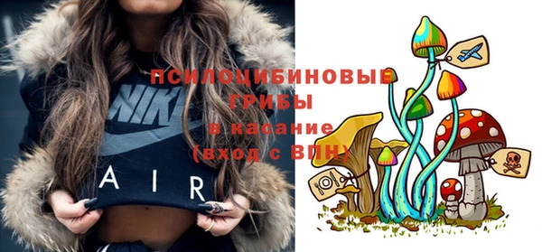 дживик Бородино