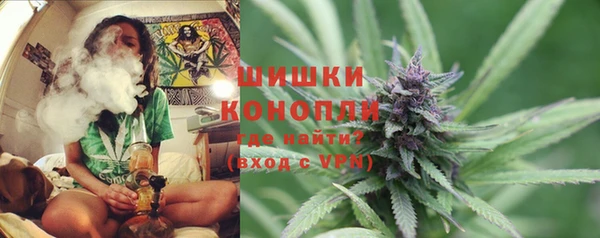 дживик Бородино