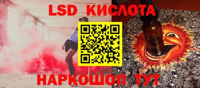 стаф Гай