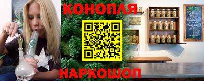 стаф Гай
