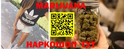 стаф Гай