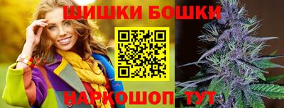 спиды Гатчина