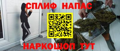 стаф Гай