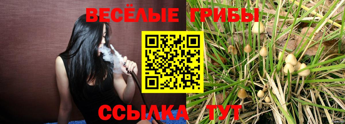 Ирбит  Псилоцибиновые грибы Psilocybine cubensis  Вход с VPN 
